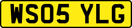 WS05YLG