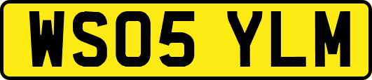 WS05YLM