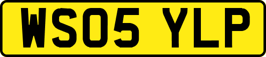WS05YLP