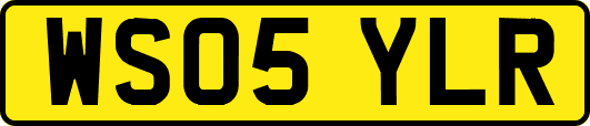 WS05YLR