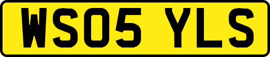 WS05YLS