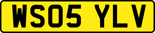 WS05YLV