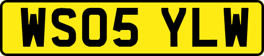 WS05YLW