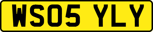 WS05YLY