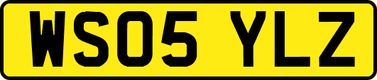 WS05YLZ
