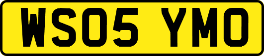 WS05YMO