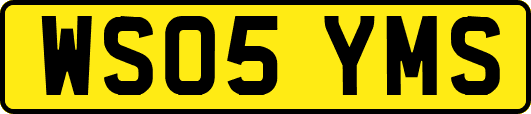 WS05YMS