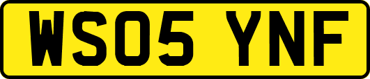 WS05YNF