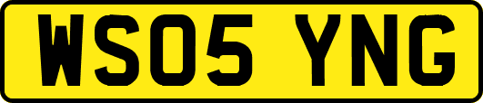 WS05YNG