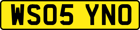 WS05YNO