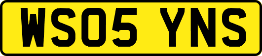 WS05YNS
