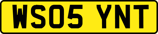 WS05YNT
