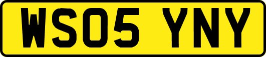 WS05YNY