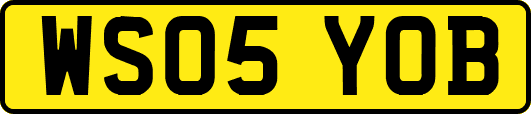 WS05YOB