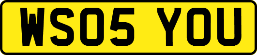 WS05YOU