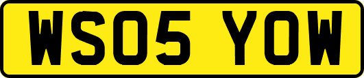 WS05YOW