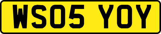 WS05YOY