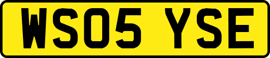 WS05YSE