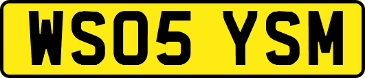 WS05YSM