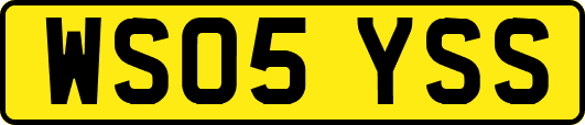 WS05YSS