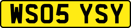 WS05YSY