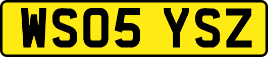 WS05YSZ