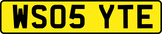 WS05YTE