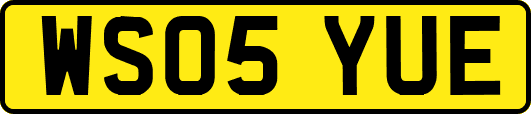 WS05YUE