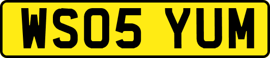 WS05YUM