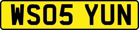 WS05YUN
