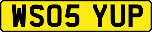 WS05YUP