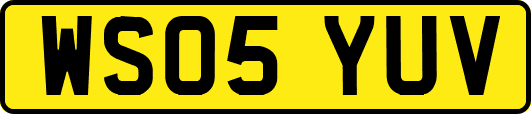 WS05YUV