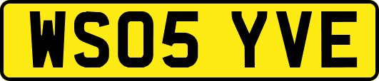 WS05YVE