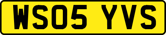 WS05YVS