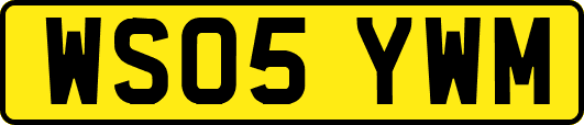 WS05YWM