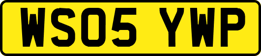WS05YWP