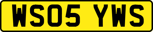 WS05YWS