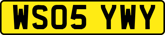 WS05YWY