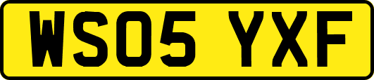 WS05YXF