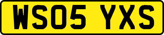 WS05YXS