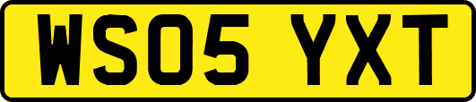 WS05YXT