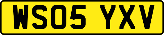 WS05YXV