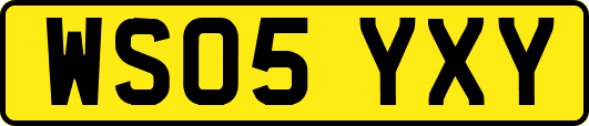 WS05YXY