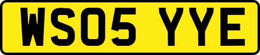 WS05YYE