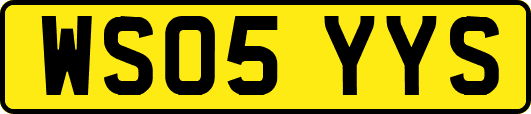 WS05YYS