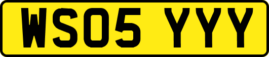 WS05YYY
