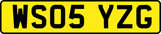 WS05YZG