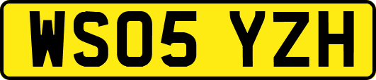 WS05YZH