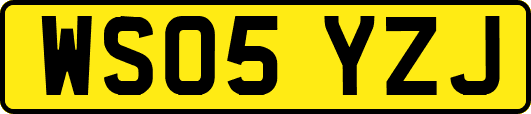 WS05YZJ