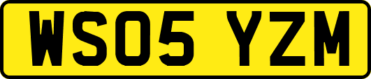 WS05YZM